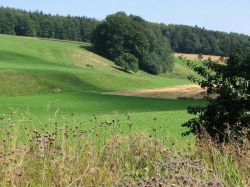 Landgasthof Zur Post Heiligenberg Ruang foto